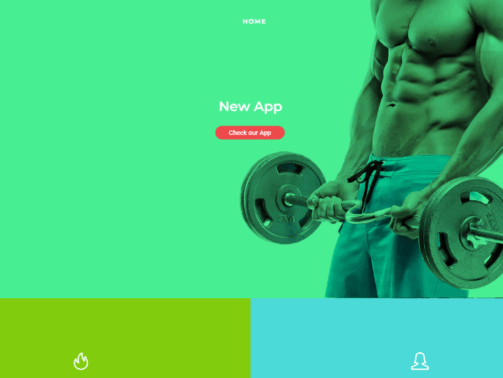 Body-Shop-LLC