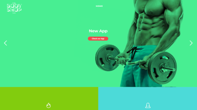 Body-Shop-LLC